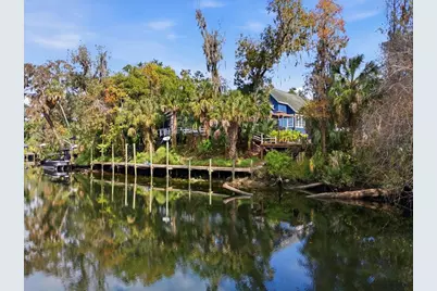 4703 Rambling River Road, Brandon, FL 33511 - Photo 2