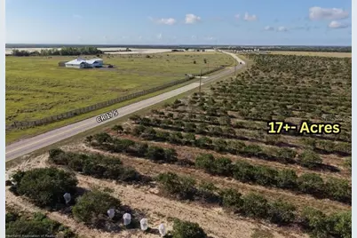 8961 County Road 17 S, Sebring, FL 33876 - Photo 4