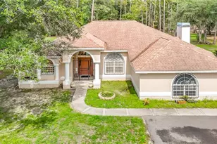 8338 Handcart Rd, Wesley Chapel, FL 33545 - Photo 1