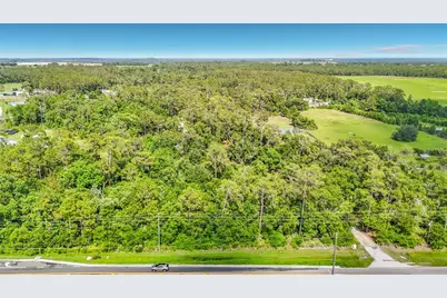 8338 Handcart Road, Wesley Chapel, FL 33545 - Photo 24