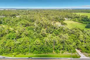 8338 Handcart Rd, Wesley Chapel, FL 33545 - Photo 26