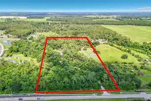 8338 Handcart Rd, Wesley Chapel, FL 33545 - Photo 68