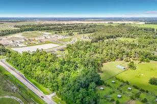 8338 Handcart Rd, Wesley Chapel, FL 33545 - Photo 24