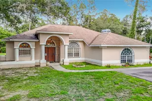 8338 Handcart Rd, Wesley Chapel, FL 33545 - Photo 36