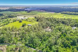 8338 Handcart Rd, Wesley Chapel, FL 33545 - Photo 66