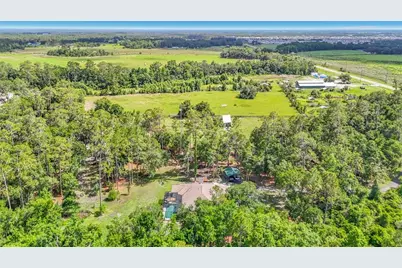 8338 Handcart Road, Wesley Chapel, FL 33545 - Photo 62