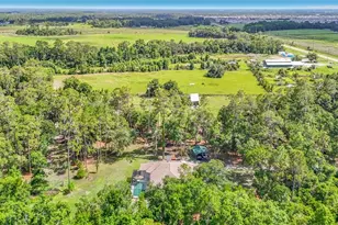 8338 Handcart Rd, Wesley Chapel, FL 33545 - Photo 62