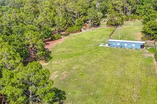 8338 Handcart Rd, Wesley Chapel, FL 33545 - Photo 60