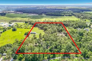 8338 Handcart Rd, Wesley Chapel, FL 33545 - Photo 70
