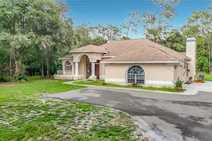 8338 Handcart Rd, Wesley Chapel, FL 33545 - Photo 32