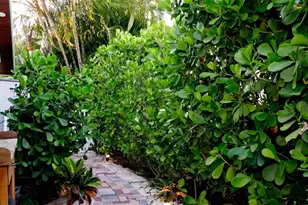 522 68th St, Holmes Beach, FL 34217 - Photo 56