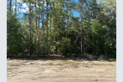 0A SW 93rd Place, Dunnellon, FL 34432 - Photo 1