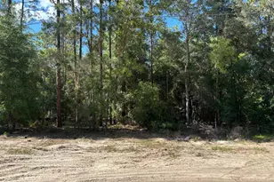 0A SW 93rd Pl, Dunnellon, FL 34432 - Photo 1