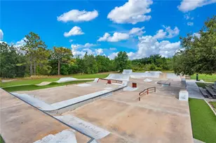 16308 Bayberry View Dr, Lithia, FL 33547 - Photo 50