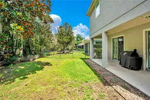 16308 Bayberry View Dr, Lithia, FL 33547 - Photo 34