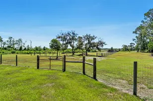 339 Mini Ranch Rd, Sebring, FL 33870 - Photo 96