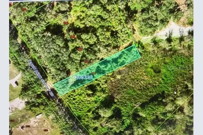 0 Avon Park Cutoff Road, Frostproof, FL 33843 - Photo 1
