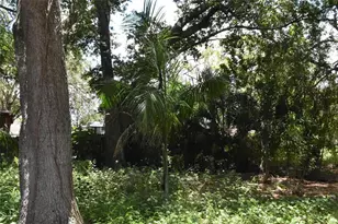 907 Pine St, Immokalee, FL 34142 - Photo 30