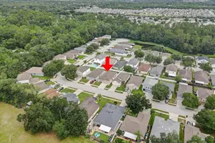 30257 Birdhouse Dr, Wesley Chapel, FL 33545 - Photo 28
