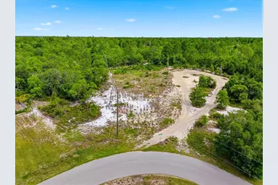 2000 Lemon Drive, Lake Wales, FL 33898 - Photo 6