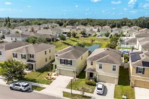 3509 Diamond Leaf Ct, Valrico, FL 33594 - Photo 40