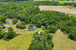 3126 Toole Rd, Lithia, FL 33547 - Photo 54