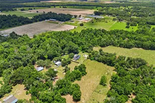 3126 Toole Rd, Lithia, FL 33547 - Photo 64