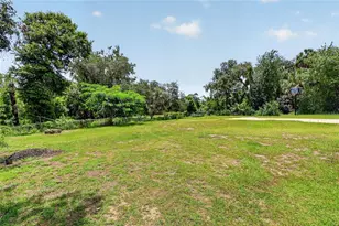 3126 Toole Rd, Lithia, FL 33547 - Photo 44