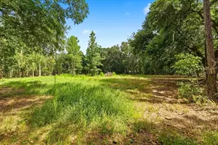 1425 Pioneer Dr, Lakeland, FL 33809 - Photo 42