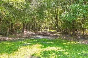 273 Griffin Rd, Wauchula, FL 33873 - Photo 40