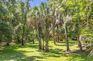 273 Griffin Rd, Wauchula, FL 33873 - Photo 38