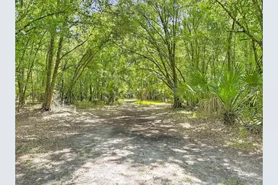 273 Griffin Road, Wauchula, FL 33873 - Photo 44