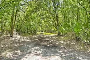273 Griffin Rd, Wauchula, FL 33873 - Photo 44