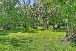 273 Griffin Rd, Wauchula, FL 33873 - Photo 42