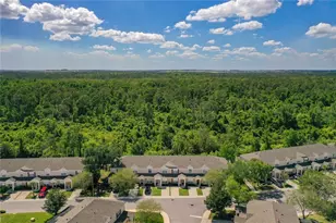 2356 Silver Palm Dr, Kissimmee, FL 34747 - Photo 42