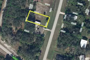 344 Washington Blvd, Lake Placid, FL 33852 - Photo 1