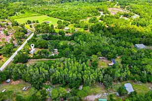 303 Wildlife Trail, Lakeland, FL 33809 - Photo 10
