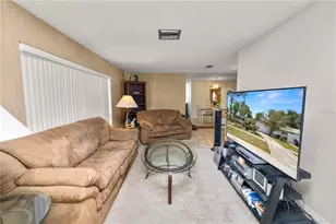 5028 Headland Hills Ave, Tampa, FL 33625 - Photo 4