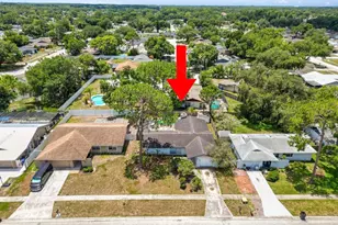 5028 Headland Hills Ave, Tampa, FL 33625 - Photo 36