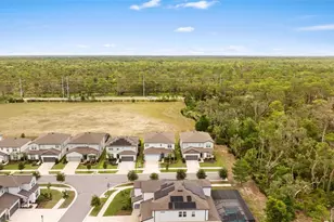 11490 Calusa Trails Way, Riverview, FL 33569 - Photo 46