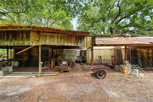 4125 Swindell Rd, Lakeland, FL 33810 - Photo 46