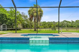 5804 Thoreau Pl, Lithia, FL 33547 - Photo 56