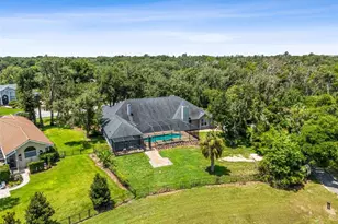 5804 Thoreau Pl, Lithia, FL 33547 - Photo 64