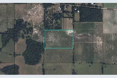 Hayman Road, Wauchula, FL 33873 - Photo 1