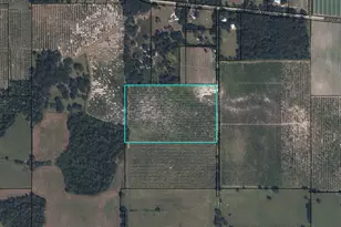 Hayman Rd, Wauchula, FL 33873 - Photo 1