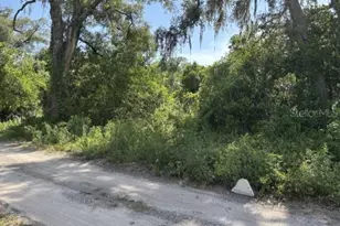 7157 Glory Rd, Zephyrhills, FL 33540 - Photo 1