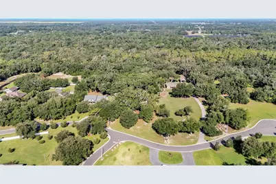 6923 Orianna Oaks Drive, Plant City, FL 33567 - Photo 20