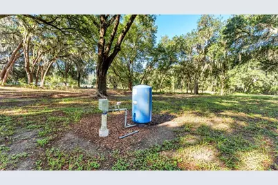 6923 Orianna Oaks Drive, Plant City, FL 33567 - Photo 8
