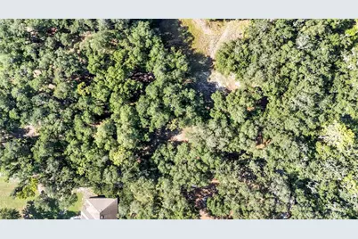 6923 Orianna Oaks Drive, Plant City, FL 33567 - Photo 12