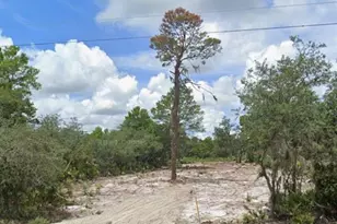 Woodstork Way, Frostproof, FL 33843 - Photo 1
